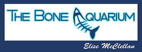 BoneAquarium Logo Copyright 2018 Elise McClellan BoneAquarium.com