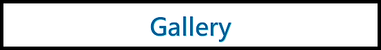 Gallery Button Copyright 2015 Elise McClellan Figureheadarts.com